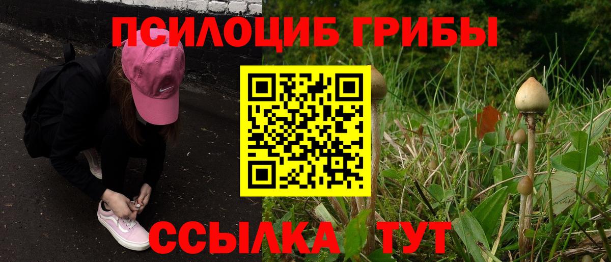 Псилоцибиновые грибы Magic Shrooms  Вход с VPN  Магадан 